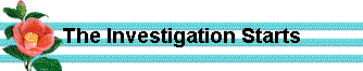  The Investigation Starts 